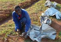 GeoffOkumo Geoffrey, trained with care to ensure it is done right!