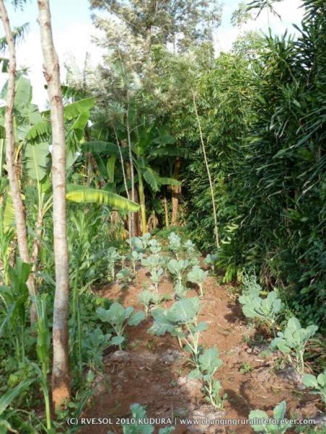 P1000930