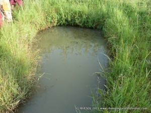 Sidonge Water Hole